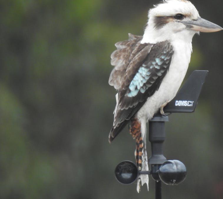 839 Signal Flat Road, Finniss, SA, 5255 - Image 33