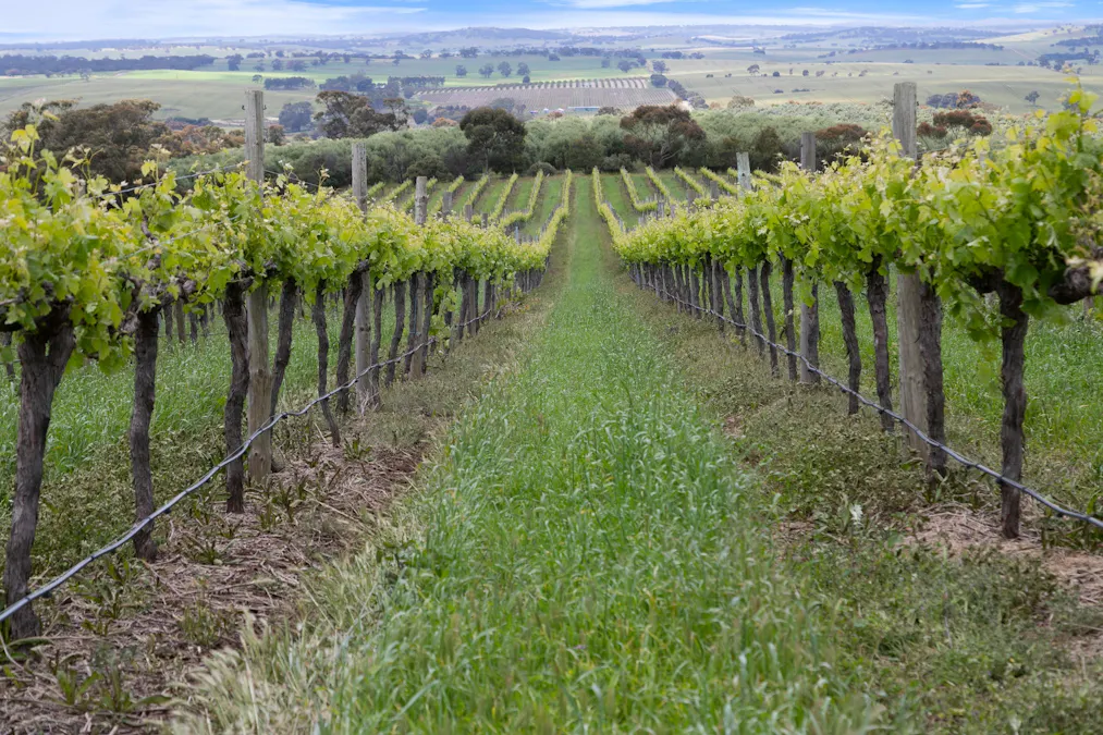 Lot 54 Tank Road, Auburn, SA, 5451 - Image 4