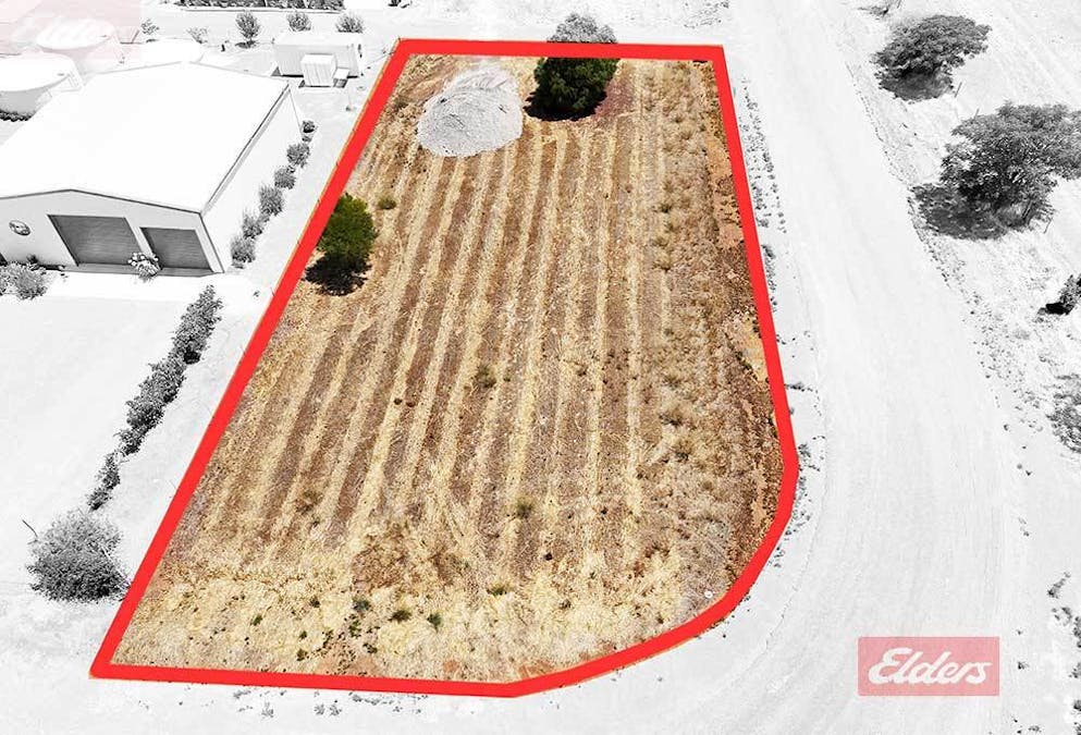 65 Lavender Street, Williams, WA, 6391 - Image 1