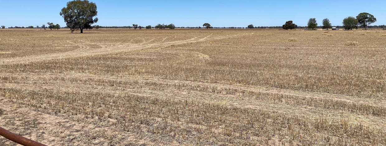 4025 Borung Highway, Warracknabeal, VIC, 3393 - Image 26