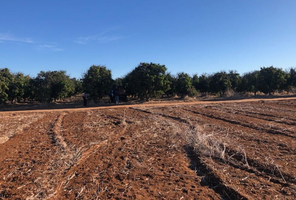 Midlands Road, Dongara, WA, 6525 - Image 2