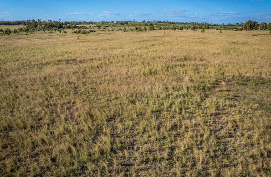 267 Bennett School Road, Tara, QLD, 4421 - Image 11