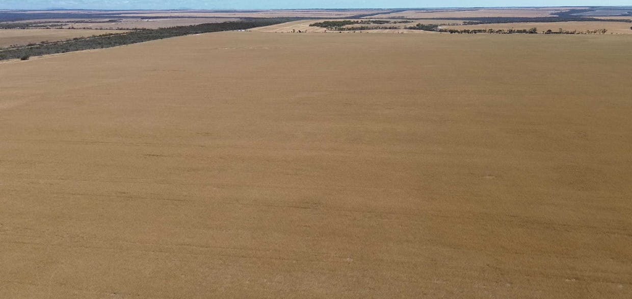 Lot 1960 Long Creek Road, West River, WA, 6346 - Image 12