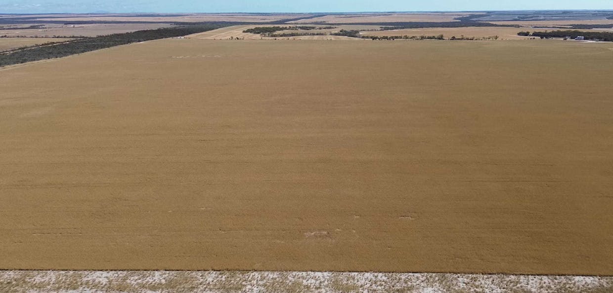 Lot 1960 Long Creek Road, West River, WA, 6346 - Image 13