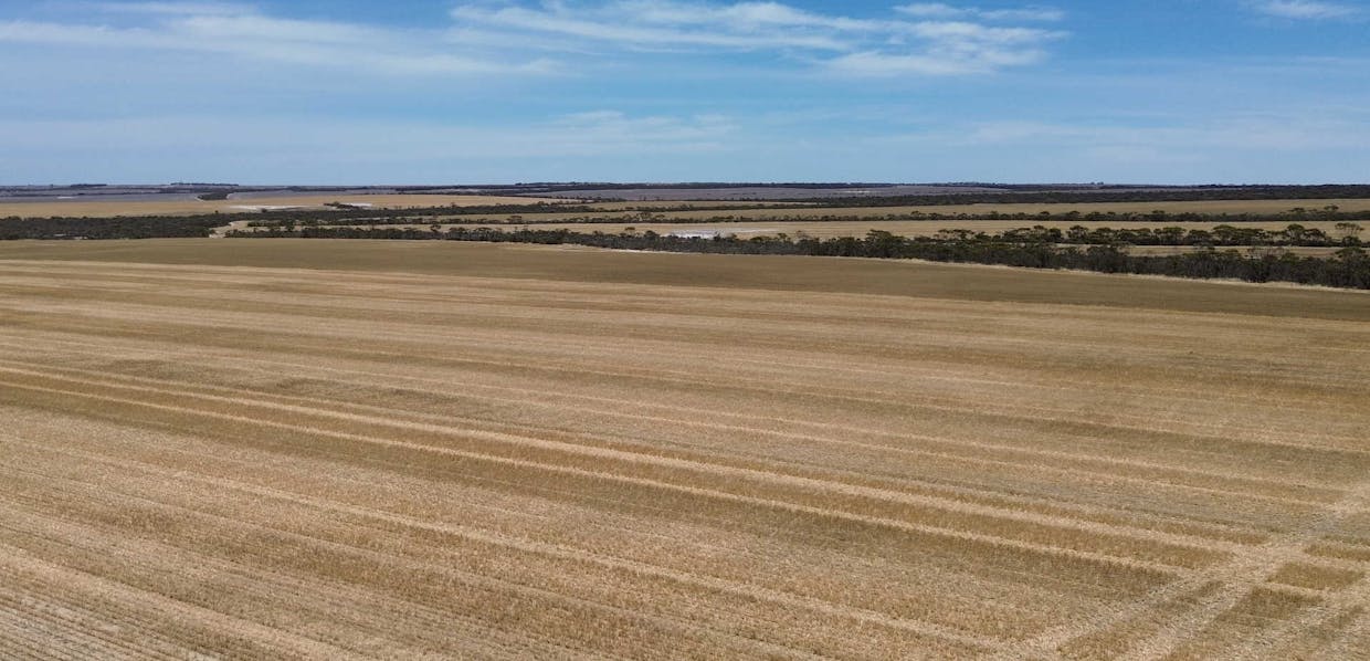 Lot 1960 Long Creek Road, West River, WA, 6346 - Image 7