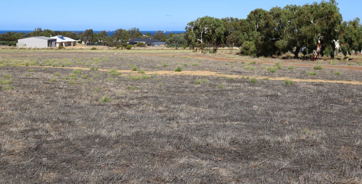 304 Eliza Shaw Drive, White Peak, WA, 6532 - Image 3