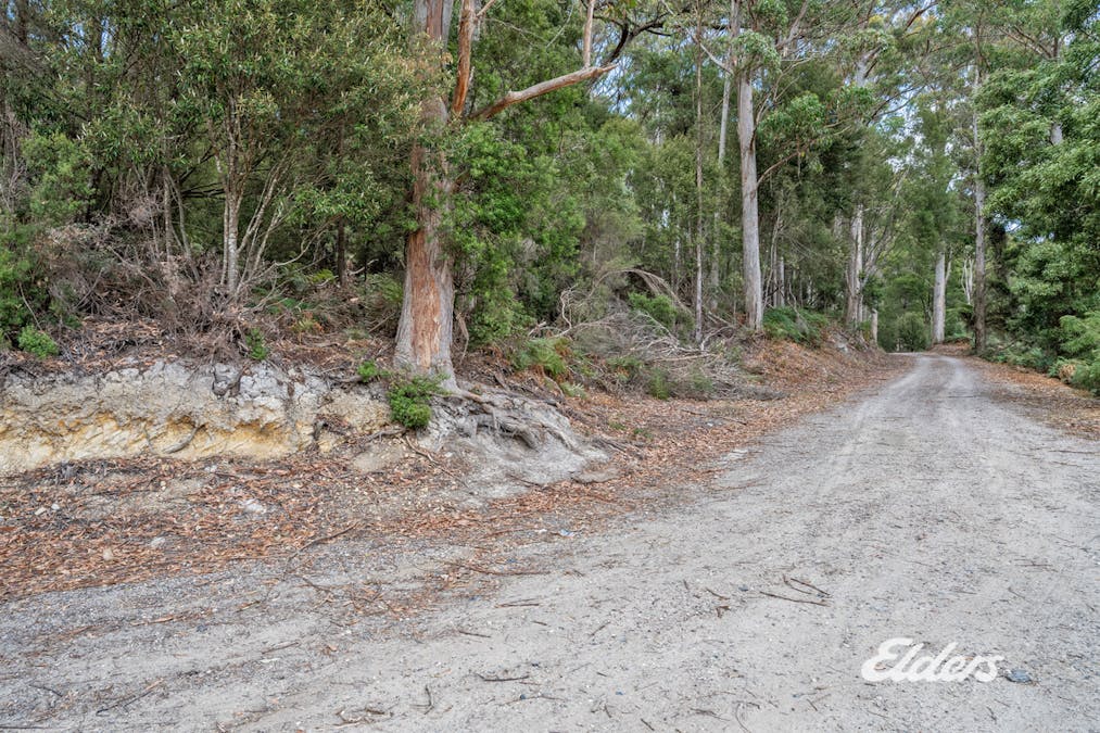 Faheys Lane, Irishtown, TAS, 7330 - Image 9
