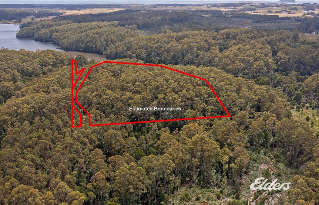 Faheys Lane, Irishtown, TAS, 7330 - Image 4