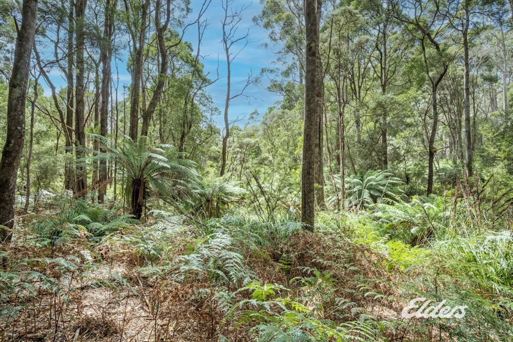 Faheys Lane, Irishtown, TAS, 7330 - Image 15