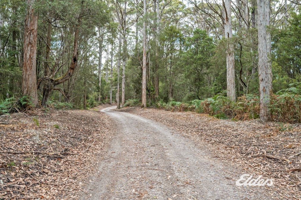 Faheys Lane, Irishtown, TAS, 7330 - Image 18