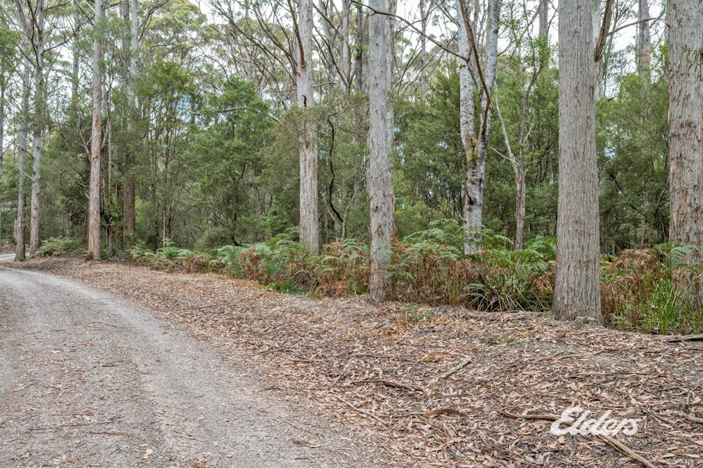 Faheys Lane, Irishtown, TAS, 7330 - Image 19