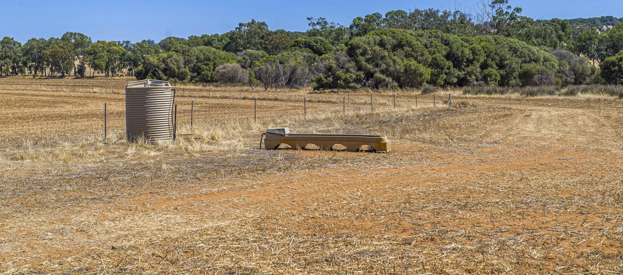 89 Vine Cottage Lane, Dandaragan, WA, 6507 - Image 23