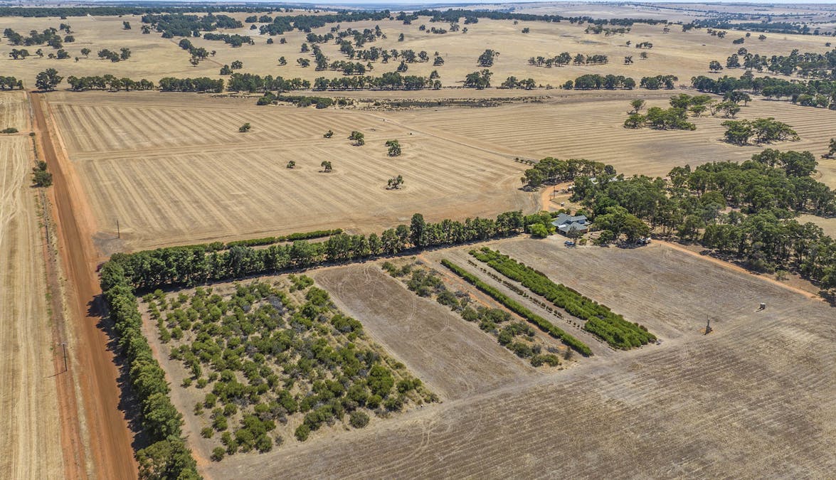 89 Vine Cottage Lane, Dandaragan, WA, 6507 - Image 28