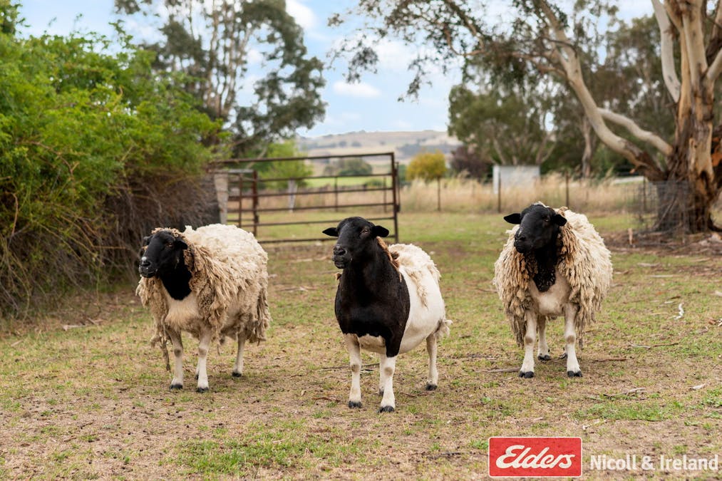 27 Saint Johns Road, Georges Plains, NSW, 2795 - Image 28