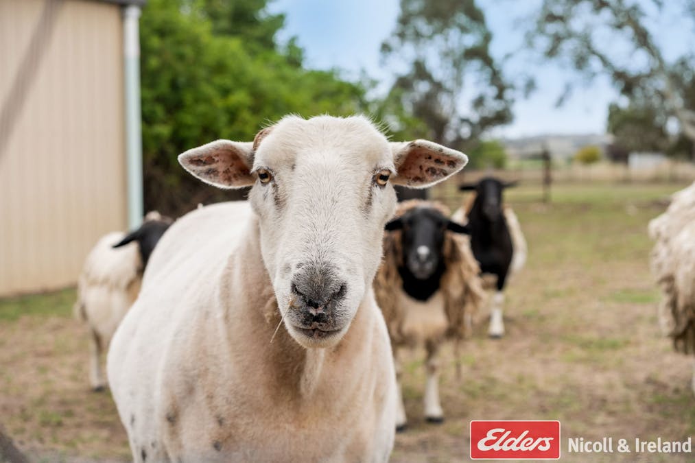 27 Saint Johns Road, Georges Plains, NSW, 2795 - Image 29