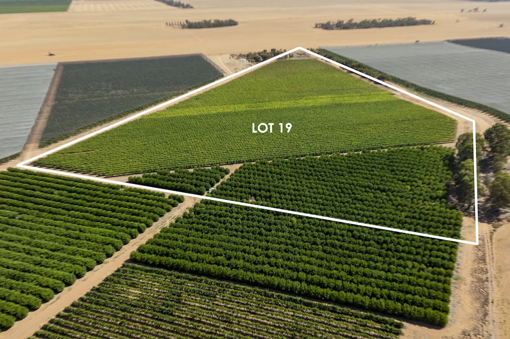 20/Anderson Road, Loxton, SA, 5333 - Image 2