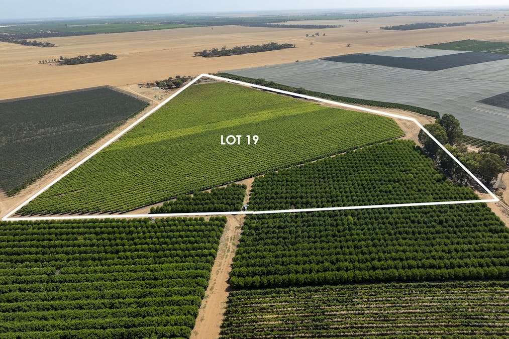 20/Anderson Road, Loxton, SA, 5333 - Image 3