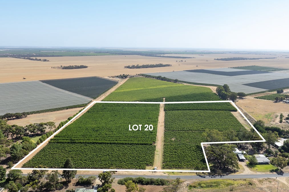 20/Anderson Road, Loxton, SA, 5333 - Image 11