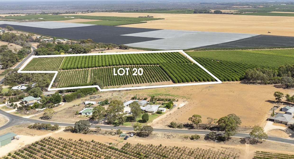 20/Anderson Road, Loxton, SA, 5333 - Image 12