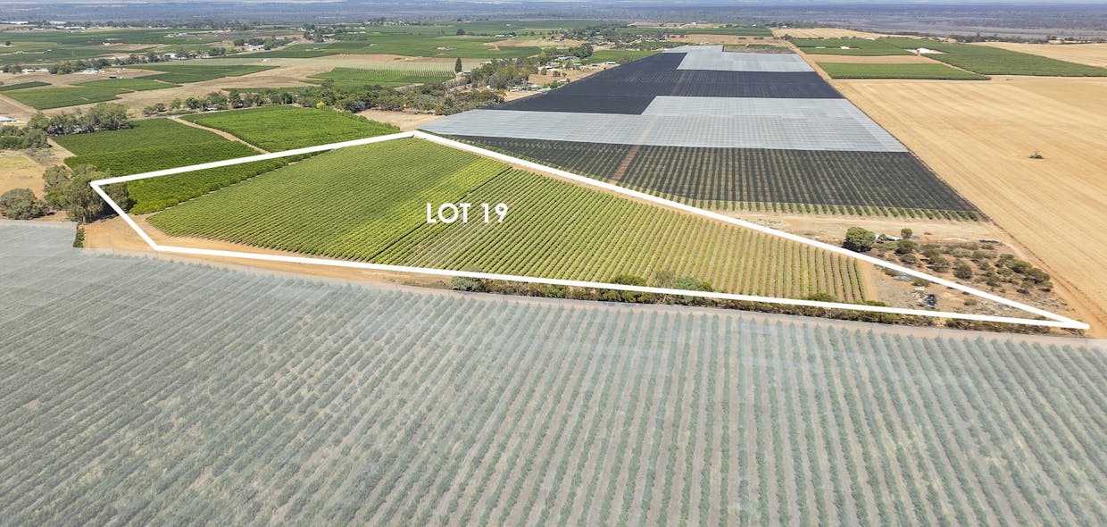 20/Anderson Road, Loxton, SA, 5333 - Image 5