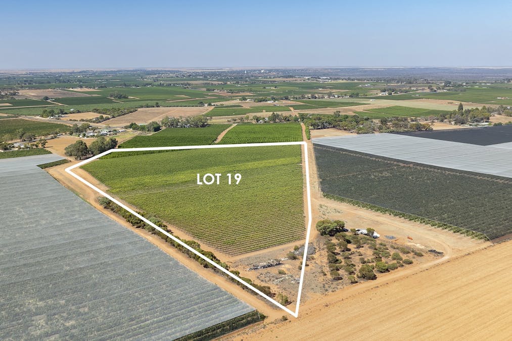 20/Anderson Road, Loxton, SA, 5333 - Image 4