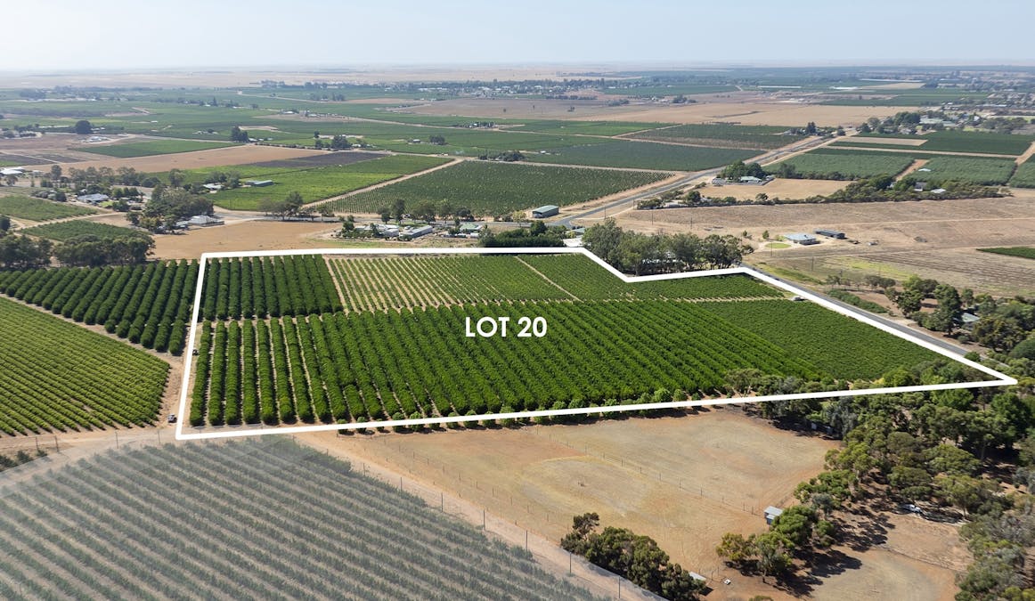 20/Anderson Road, Loxton, SA, 5333 - Image 14