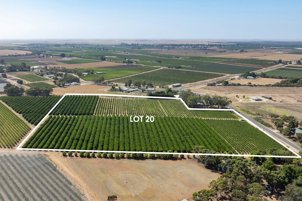 20/Anderson Road, Loxton, SA, 5333 - Image 16