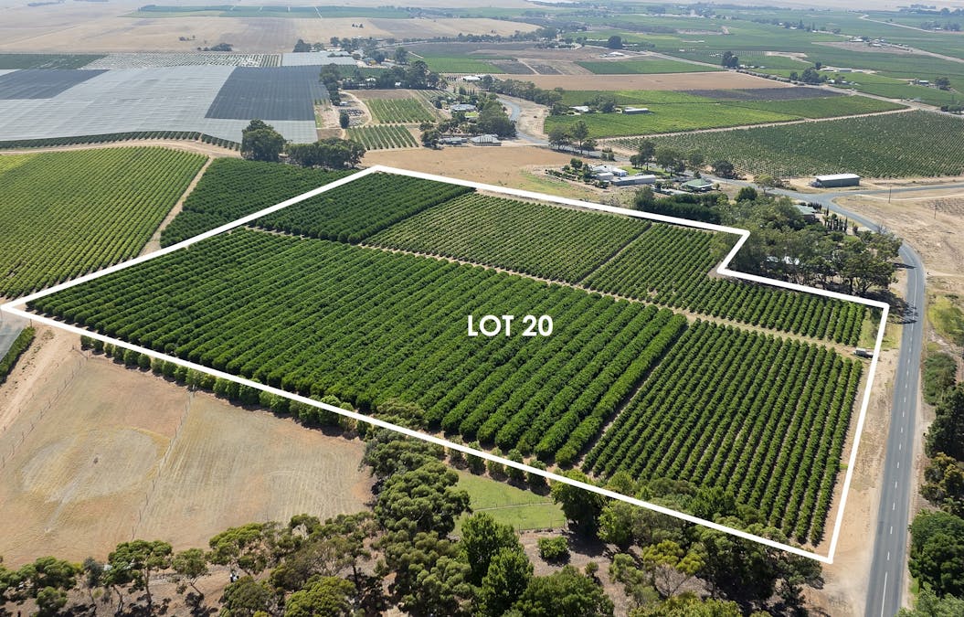 20/Anderson Road, Loxton, SA, 5333 - Image 17