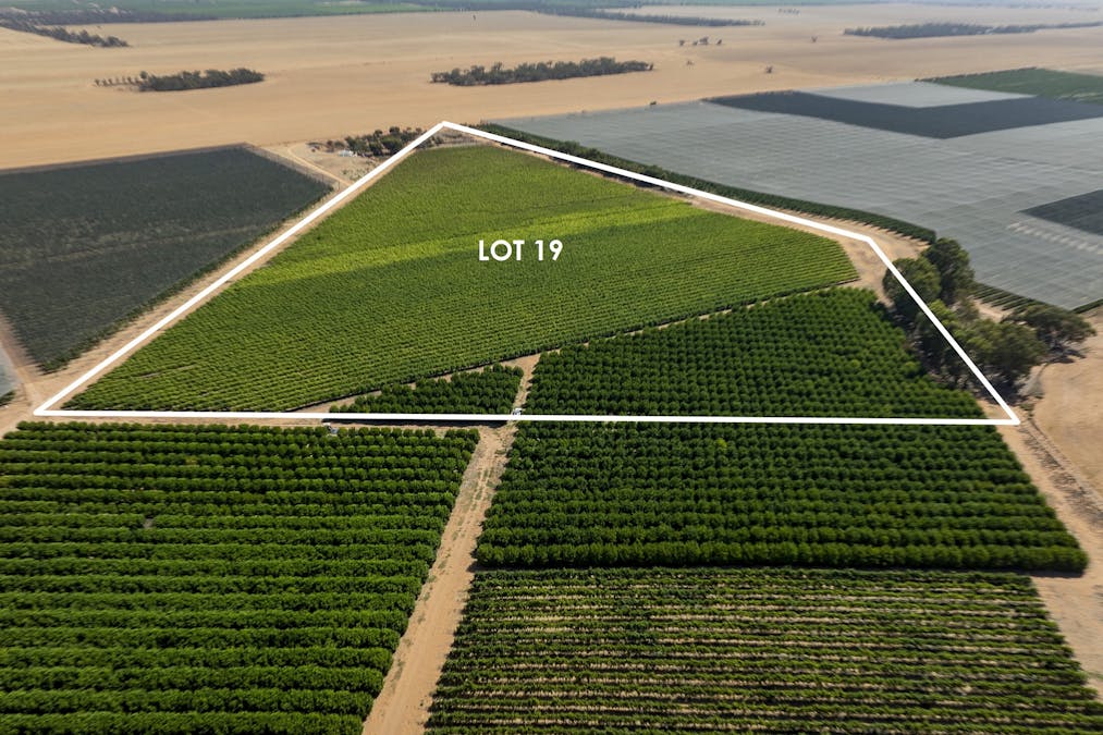 20/Anderson Road, Loxton, SA, 5333 - Image 7