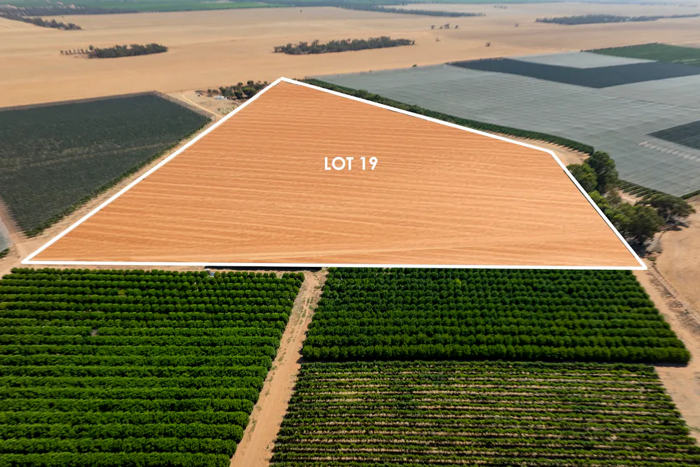 20/Anderson Road, Loxton, SA, 5333 - Image 1