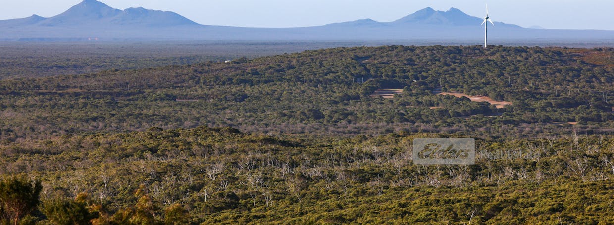 75 Newbey Grove, Bremer Bay, WA, 6338 - Image 4