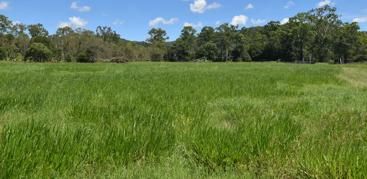 1863 Sarina Homebush Road, Oakenden, QLD, 4741 - Image 1