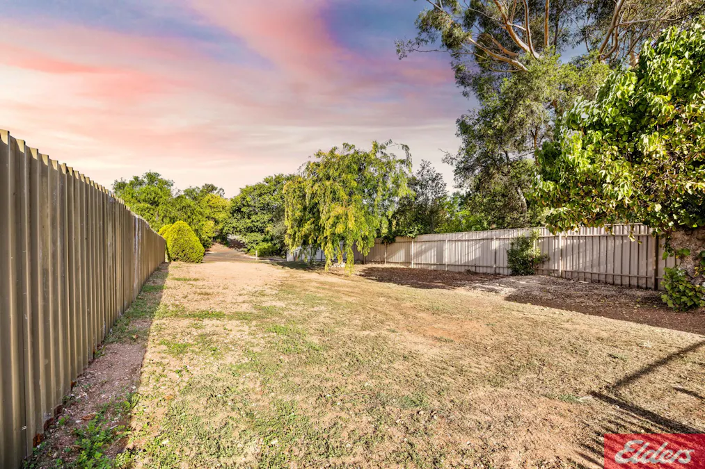 13 Murray Street, Tanunda, SA, 5352 - Image 20