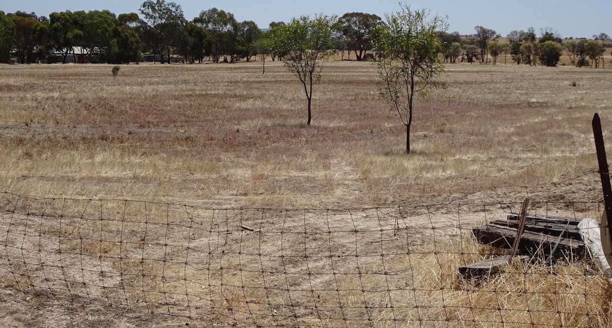 5 Realm Street, Pingelly, WA, 6308 - Image 2