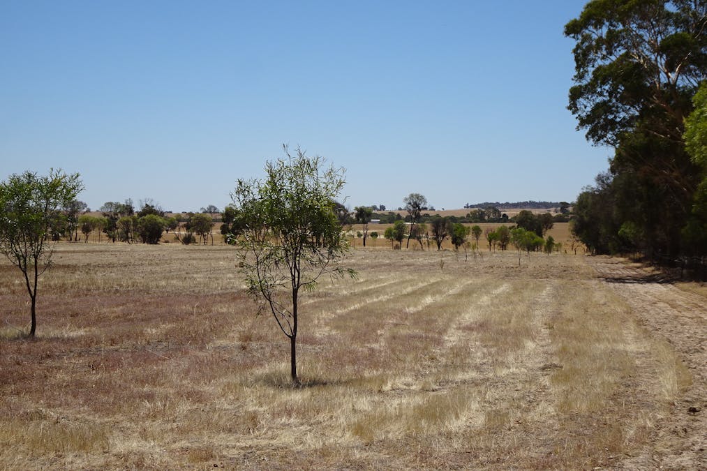 5 Realm Street, Pingelly, WA, 6308 - Image 4