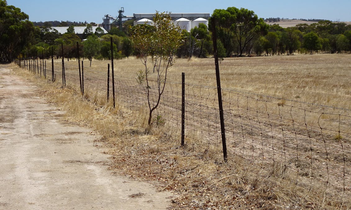 5 Realm Street, Pingelly, WA, 6308 - Image 5