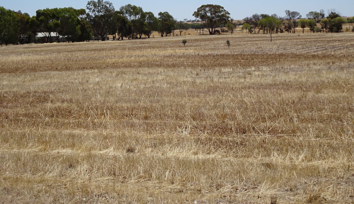 5 Realm Street, Pingelly, WA, 6308 - Image 7