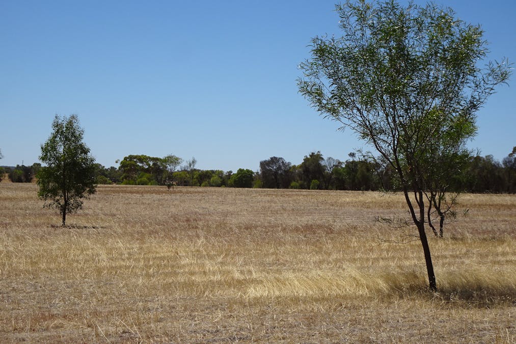 5 Realm Street, Pingelly, WA, 6308 - Image 1