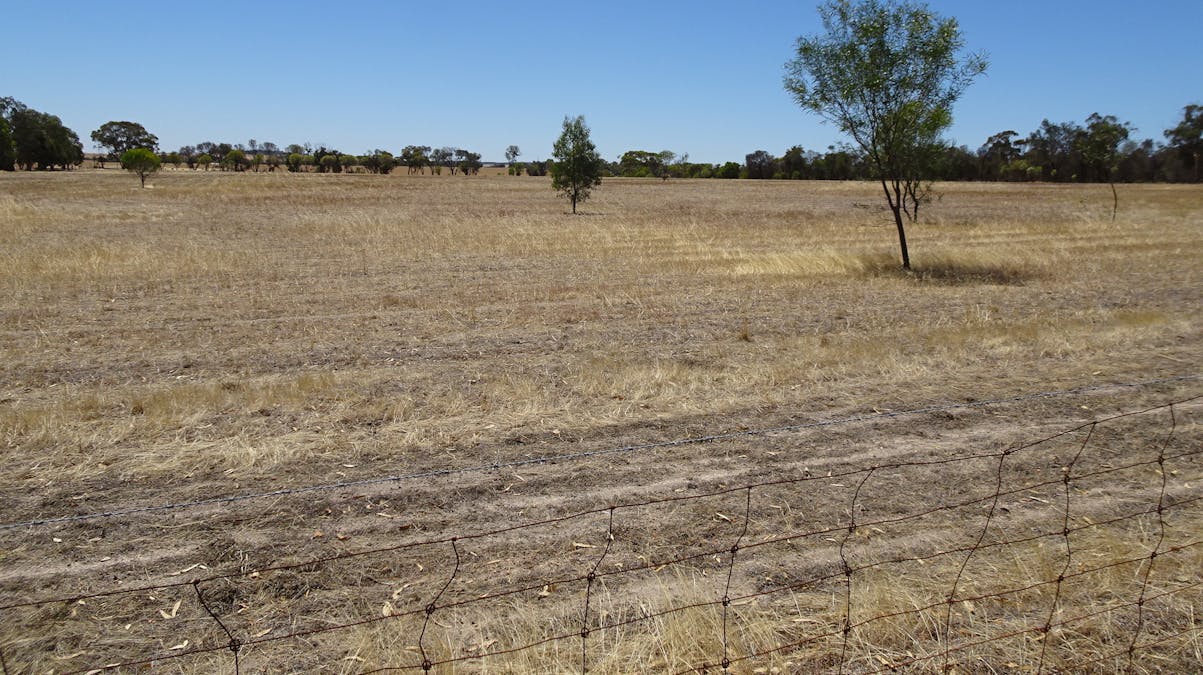 5 Realm Street, Pingelly, WA, 6308 - Image 8