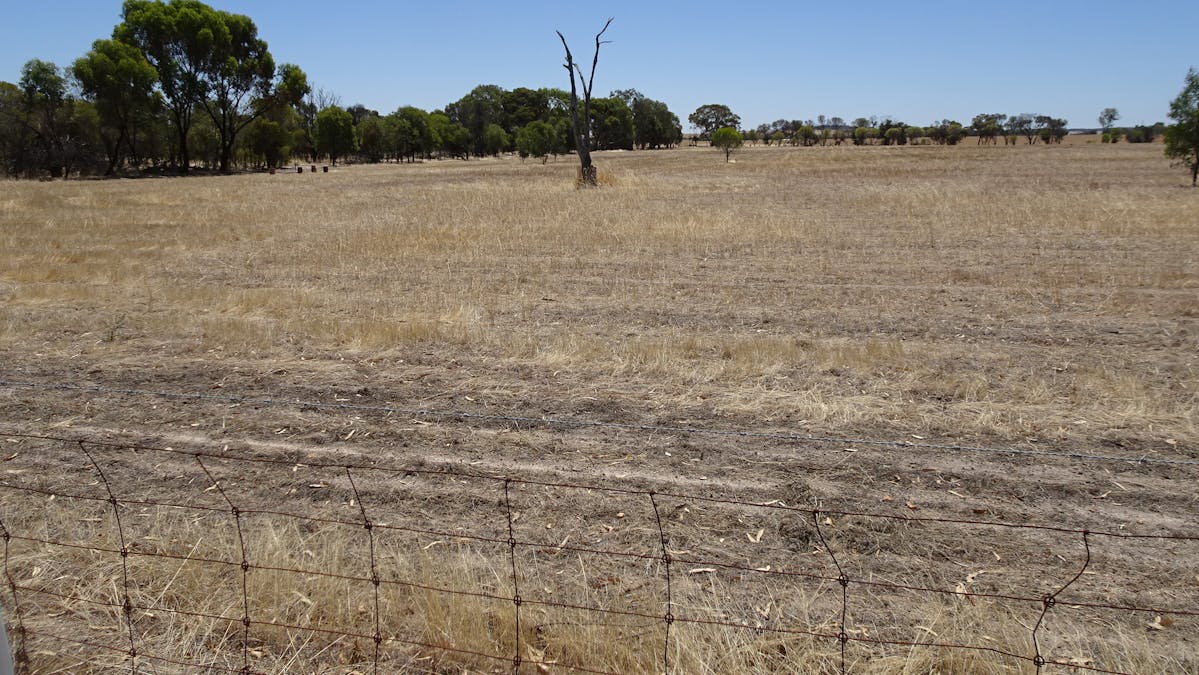 5 Realm Street, Pingelly, WA, 6308 - Image 9