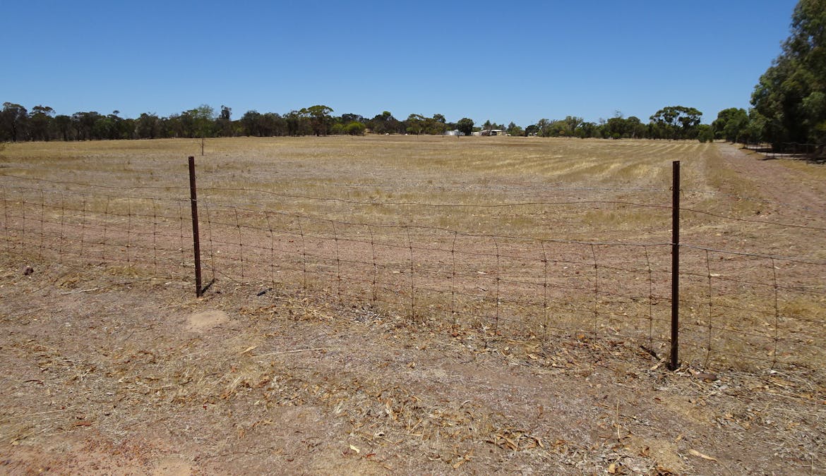 5 Realm Street, Pingelly, WA, 6308 - Image 14