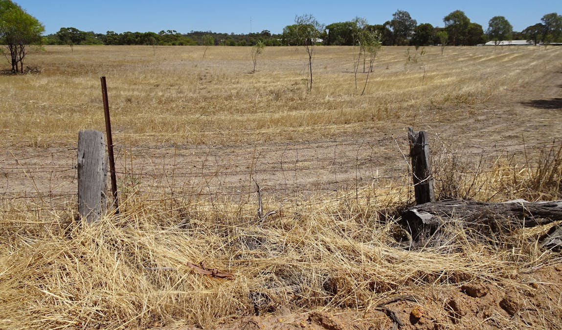 5 Realm Street, Pingelly, WA, 6308 - Image 16