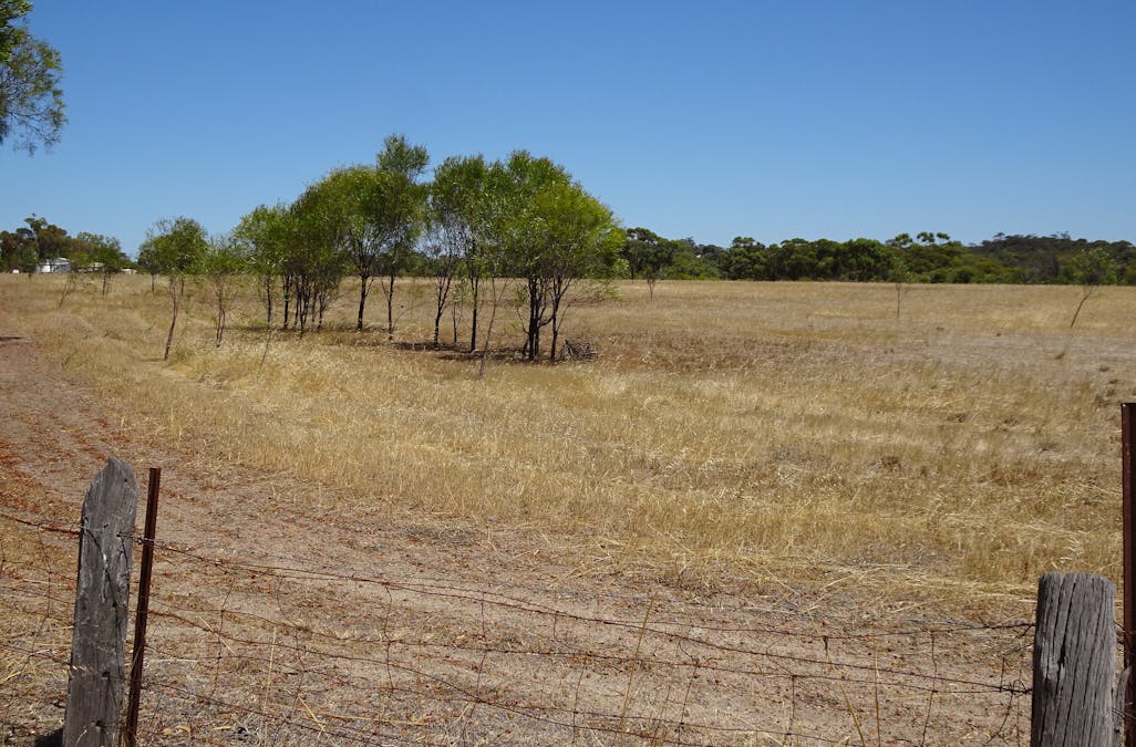 5 Realm Street, Pingelly, WA, 6308 - Image 17