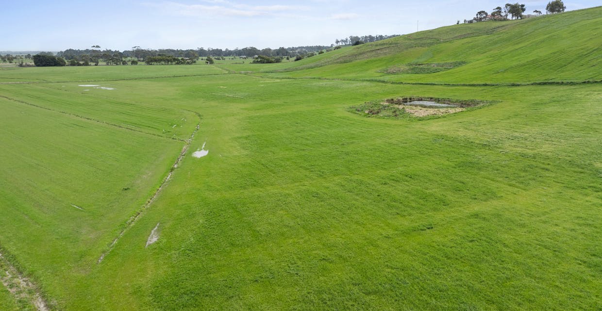 375 Outtrim - Moyarra Road, Outtrim, VIC, 3951 - Image 9