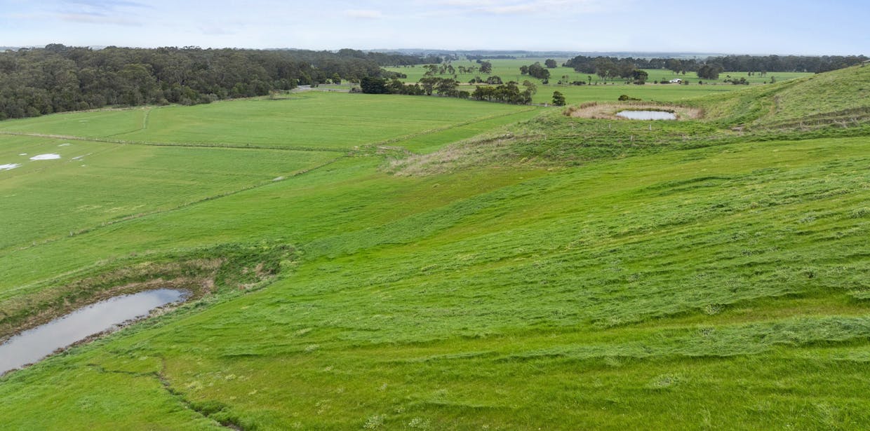 375 Outtrim - Moyarra Road, Outtrim, VIC, 3951 - Image 10