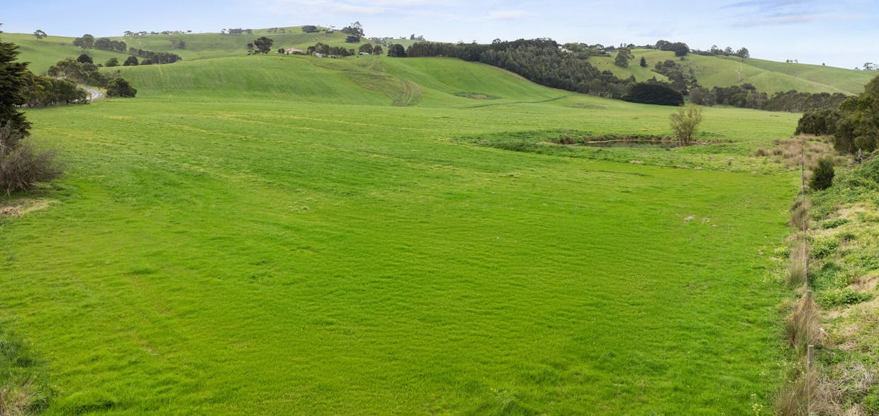 375 Outtrim - Moyarra Road, Outtrim, VIC, 3951 - Image 11