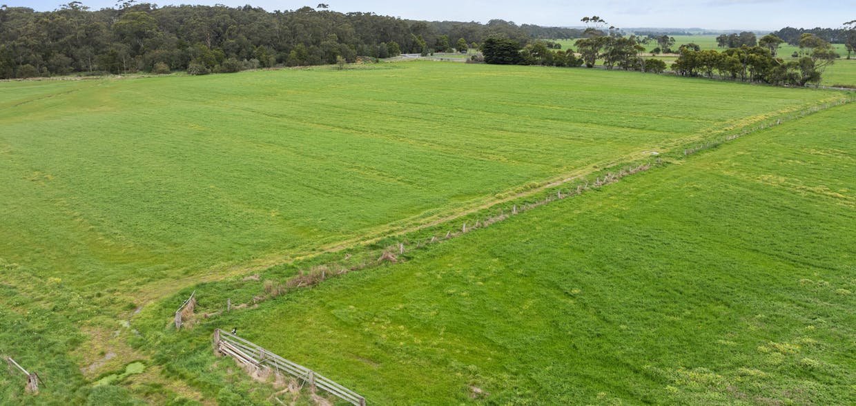 375 Outtrim - Moyarra Road, Outtrim, VIC, 3951 - Image 2