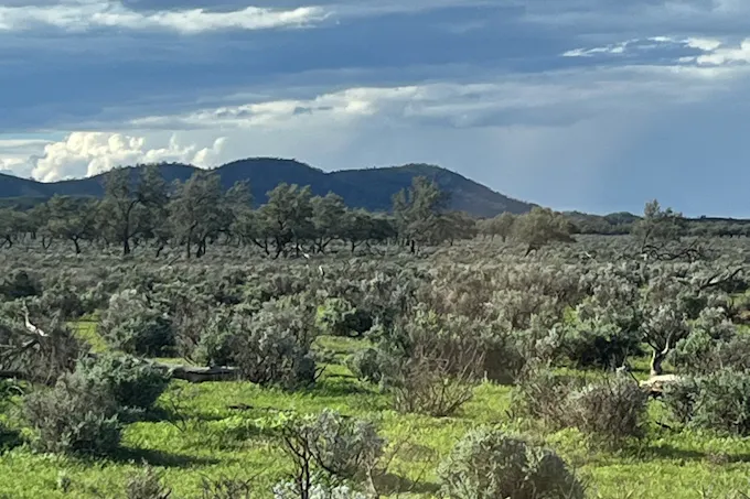 Lot 155 Hogback Lane, Warnes, SA, 5417 - Image 1