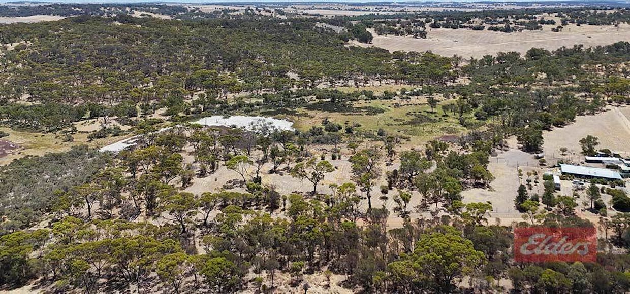 357 Richmond Street, Williams, WA, 6391 - Image 7