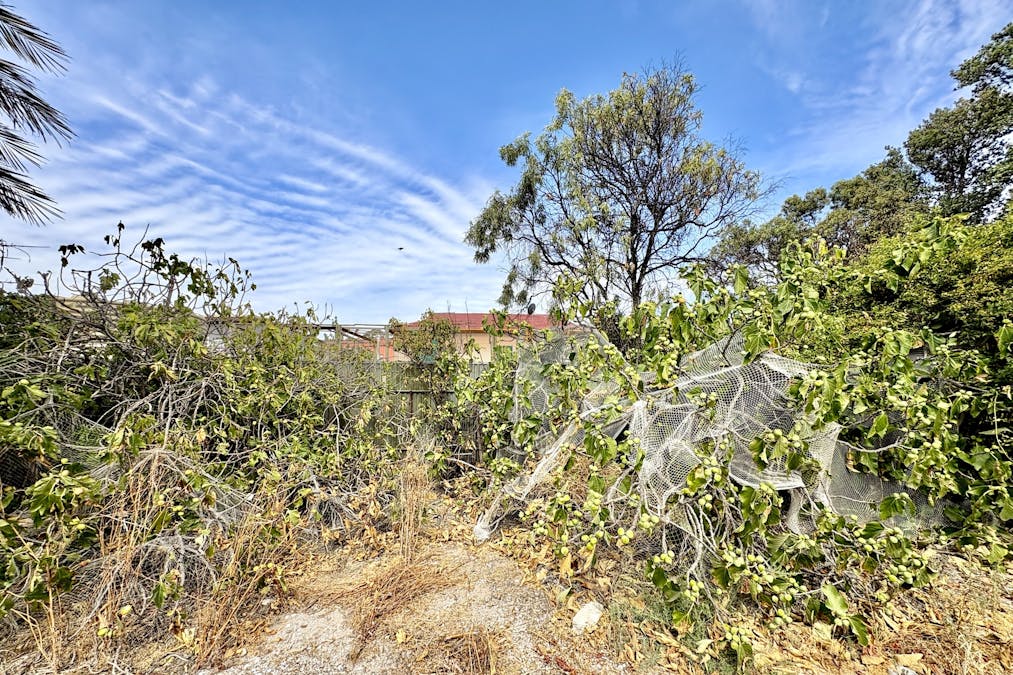 8 Denton Street, Smoky Bay, SA, 5680 - Image 26